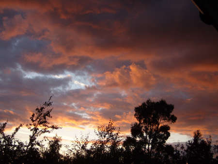 Dramatic Cloudy Sky With Silhouetted Tree Lineの写真素材