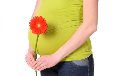 Pregnant belly closeup, studio shot on white backgroundの写真素材