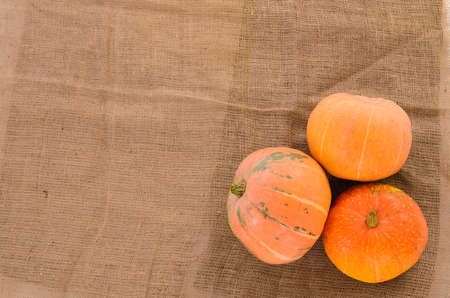 orange ripe pumpkins on linen cloth backgroundの写真素材