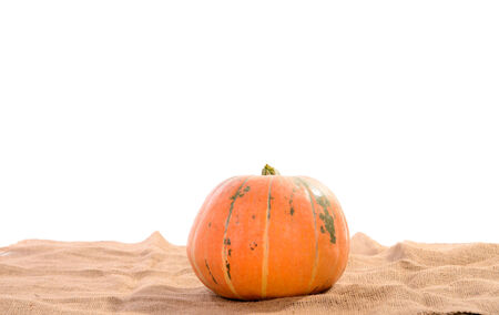 orange ripe pumpkin on linen cloth backgroundの写真素材
