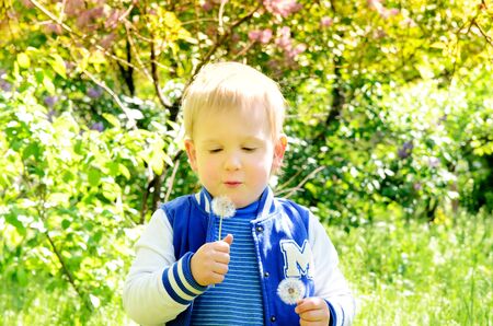 child in the spring park on a background of green grass and foliageの写真素材