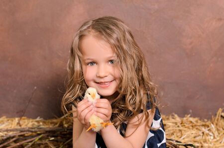 little nice smiling girl with wavy hair hugging alive chicken on brown wall backgroundの写真素材