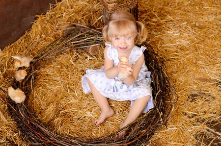 blond girl with chickens in the barn in a nest on the Catholic Easterの写真素材