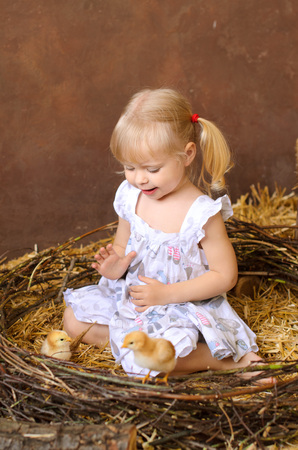 blond girl with chickens in the barn in a nest on the Catholic Easterの写真素材