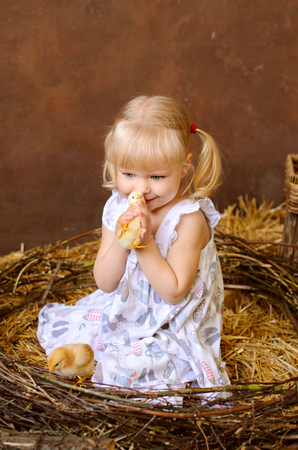 blond girl with chickens in the barn in a nest on the Catholic Easterの写真素材