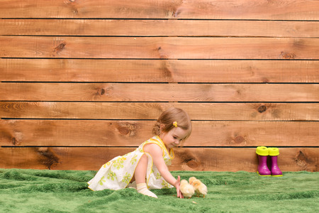 little girl feeds the chickens on the grass, on a background of a wooden wall, there are a number of rubber bootsの写真素材