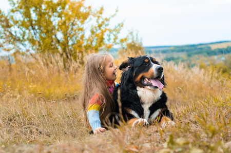 girl lies next to big dog on autumn walk Berner Sennenhundの写真素材