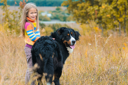 girl on walk with her four-legged friend on autumn fields Berner Sennenhundの写真素材