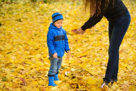 little boy mom holds out maple leaves for walk in autumn park, with fallen yellow foliageの写真素材