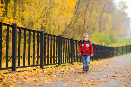 boy in jacket and jeans walks over bridge strewn with yellow fallen leaves in an autumn parkの写真素材
