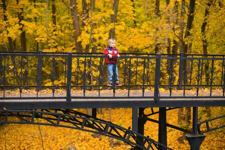 bridge high above ground in an autumn park with yellowed foliage on which boy stands, holding on to railing, looking at landscapeの写真素材