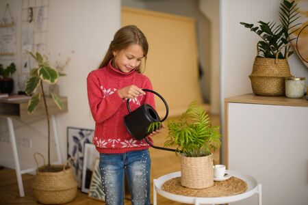girl caring for domestic plants in the room, watering. Quarantine at homeの写真素材