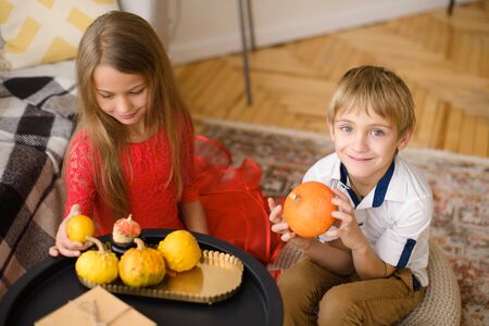 Brother and sister sitting in room on carpet on wooden floor, play with decorative pumpkinsの写真素材