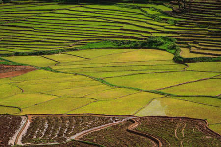 Khun Nan  Rice Terraces , Paddy Mountain nan ,Chaloem Phra Kiat District, Nan Province, Thailandの写真素材