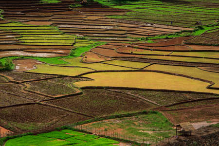 Khun Nan  Rice Terraces , Paddy Mountain nan ,Chaloem Phra Kiat District, Nan Province, Thailandの写真素材