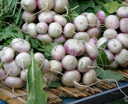 Turnips at the marketの写真素材