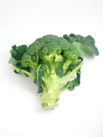 A piece of broccoli on a table     