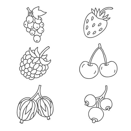 Different berries on a white background. illustration drawn by hand.のイラスト素材