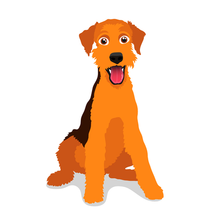 Cute dog - Airedale Terrier breed. Vector illustration on a white background. Friend of human. Symbol of the new year 2018.のイラスト素材