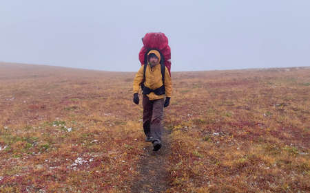 A tourist with a large backpack walks along the autumn tundra in the snow. Mountain climbing. Trekking in the Klyuchevskoy volcano park. Travel to the Kamchatka Peninsula.の写真素材