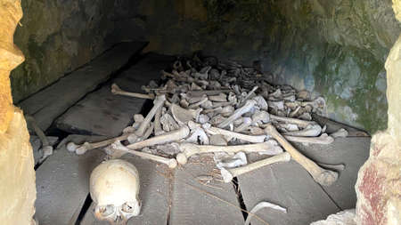 Ancient burial. Bones and skulls of people in one of the crypts of the village of Dargavs, City of...