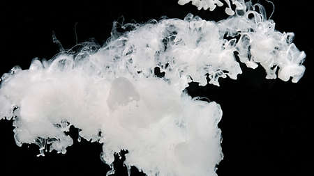 White cloud of ink on a black background. White watercolor paints in water. White watercolor ink in water on a black background. Meditative magic abstract background.の写真素材