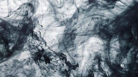 Black watercolor ink in water on a white background. Colored acrylic paints are mixed in water. Awesome abstract background. Black cloud of ink on a white background.の写真素材