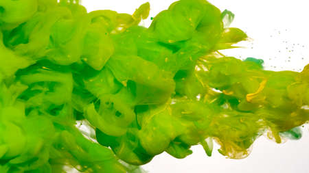Abstract background. Drops of green and yellow ink in water. Colored acrylic paints in water. Green and yellow watercolor ink in water on a white background. Green cloud of ink on a white background.の写真素材