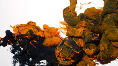 Drops of black and orange ink in water. Colored acrylic paints in water. Black and orange watercolor ink in water on a white background. Black and orange cloud of ink on a white background. Abstract background.の写真素材