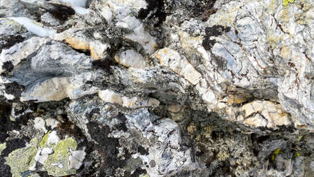 Close-up of the surface of one of the weathering pillars in the Komi Republic, Russia. Giants of the...