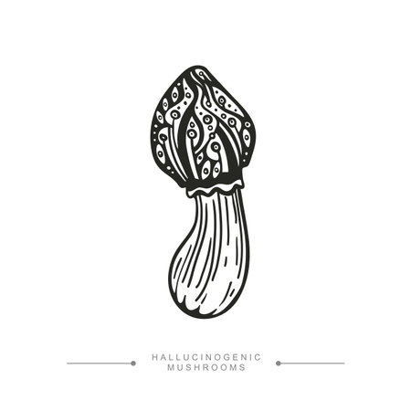 A stylized image of a psilocybin mushroom. Black and white drawing of a hallucinogenic mushroom. Vector illustration isolated on white background.のイラスト素材