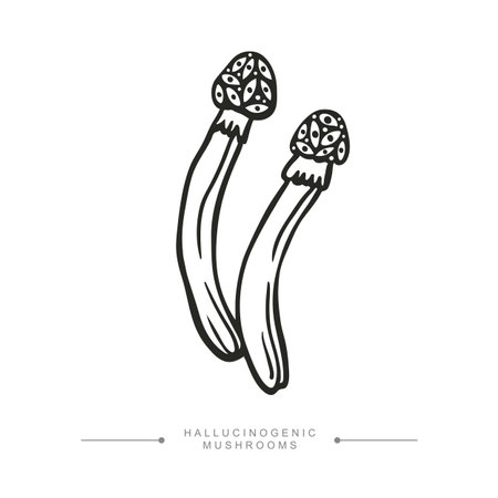 A group of two toxic magical hallucinogenic mushrooms. Black and white drawing of psilocybin mushrooms. Vector illustration isolated on white background.のイラスト素材