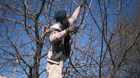 A young man prunes a tree with garden scissors. A part-time job for a student. Gardening. Spring...