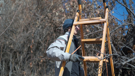 A man uses a ladder to climb a tree and cut dry branches. He is wearing a gray jacket and gloves.の写真素材