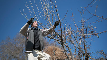 An attractive worker is pruning a tree with garden scissors. The man is wearing a blue hat and black gloves. Spring gardening. Gardening and agricultureの写真素材