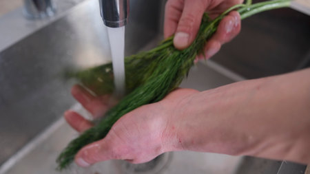 Close-up of the chef washing fresh green natural dill in the sink under a stream of clean cold water. Cooking a vegetarian salad. Healthy eatingの写真素材