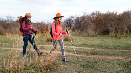 Two women are walking through a field with backpacks and trekking poles. Hobbies and fitness. Sports and an active lifestyleの写真素材
