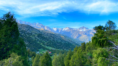Beautiful panorama of the mountain landscape. Green virgin forests are adjacent to rocky snow-capped...