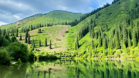 View of the green mountain hills with beautiful fir trees and Kaindy lake. A popular tourist destination in Kazakhstan. The landscape is peaceful and serene, trees are reflected in the water.の写真素材