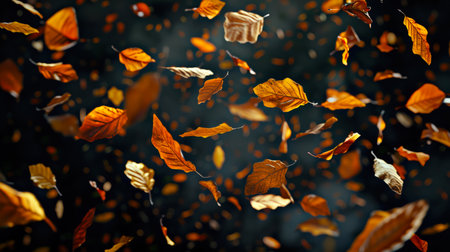 A view of autumn leaves floating in the wind at night. Orange leaves are falling from the sky. Autumn concept. Autumn background for the design. Leaf fall on a black background.の素材