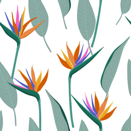 Seamless pattern with bird of paradise flowers and leaves. Exotic tropic plants design for fabric, home textile, wrapping paperのイラスト素材