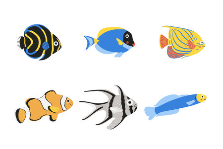 Hand drawn exotic fish setのイラスト素材