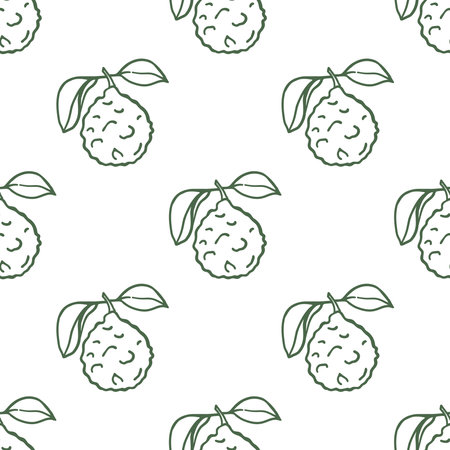 Hand drawn whole bergamot on white background seamless patternのイラスト素材