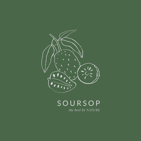 Soursop fruit hand drawn vintage illustrationのイラスト素材