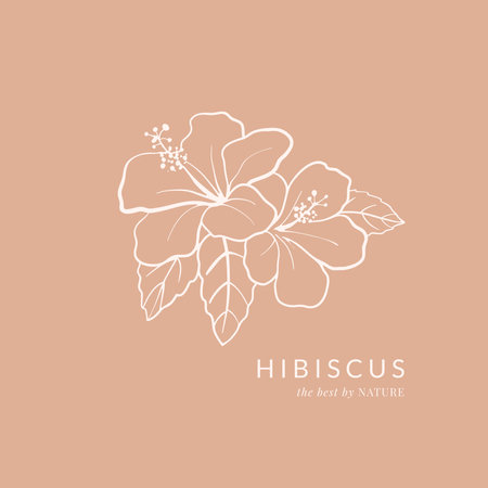 Hand drawn hibiscus flowers composition. Simple floral design on pink backgroundのイラスト素材