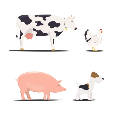 farm chicken, pork and cow, dog - vector illustrations.のイラスト素材