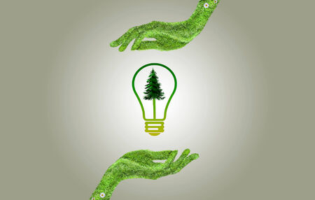 Hand covered with grass, a light bulb in his hand, and the hand is covered with tree green grassの写真素材