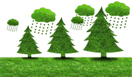 Illustration green fir trees on a patch of grass with green clouds.の写真素材