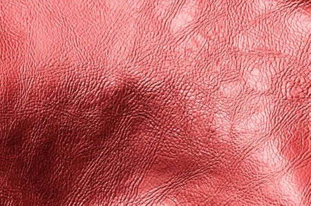 Red leather texture. Background with red leatherの写真素材