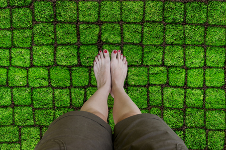Female feet on the grass. Girl stand on green lawn. Picture your feet on top. Conceptual photo, point of view perspective.の写真素材